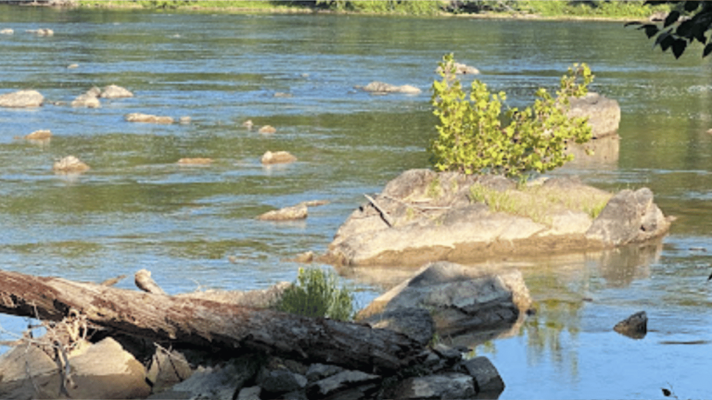 Scott’s Run Nature Preserve